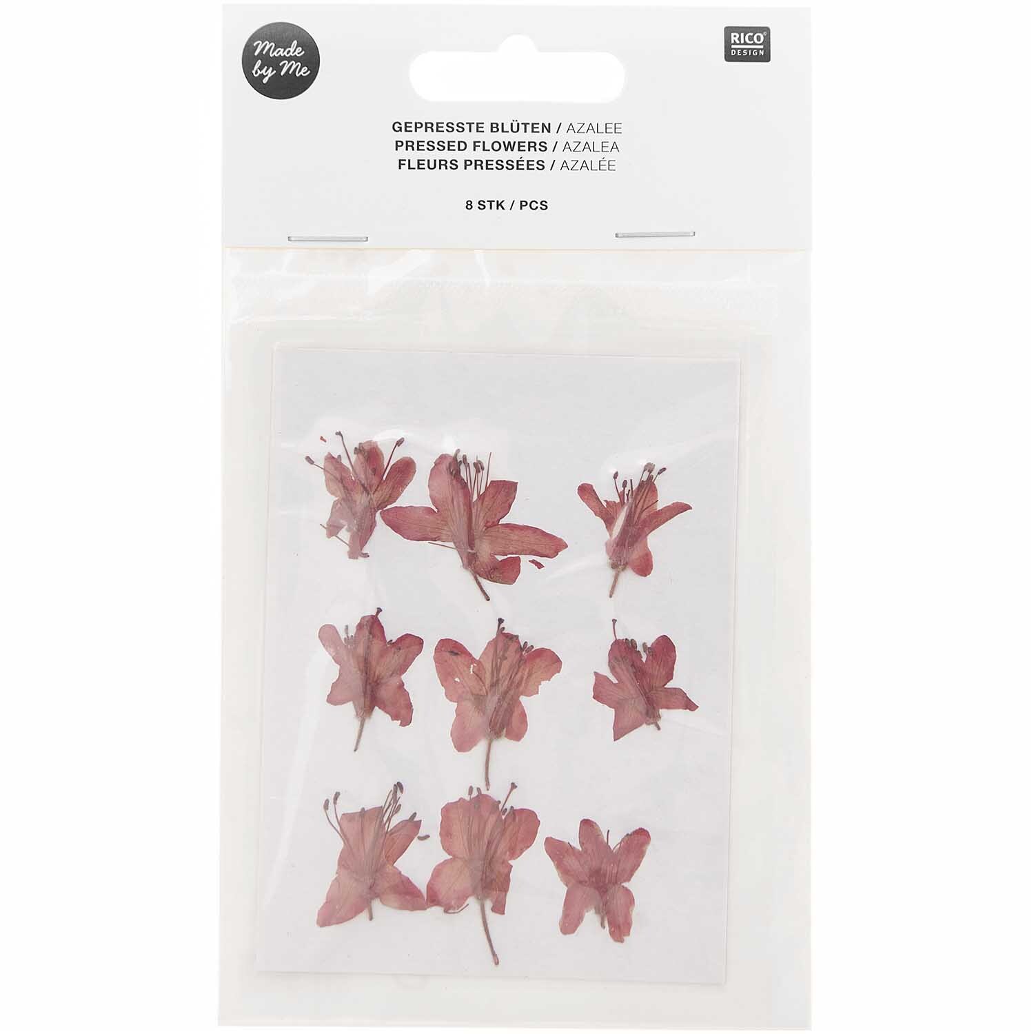Gepresste Blüten Azalee rot 9 Stück
