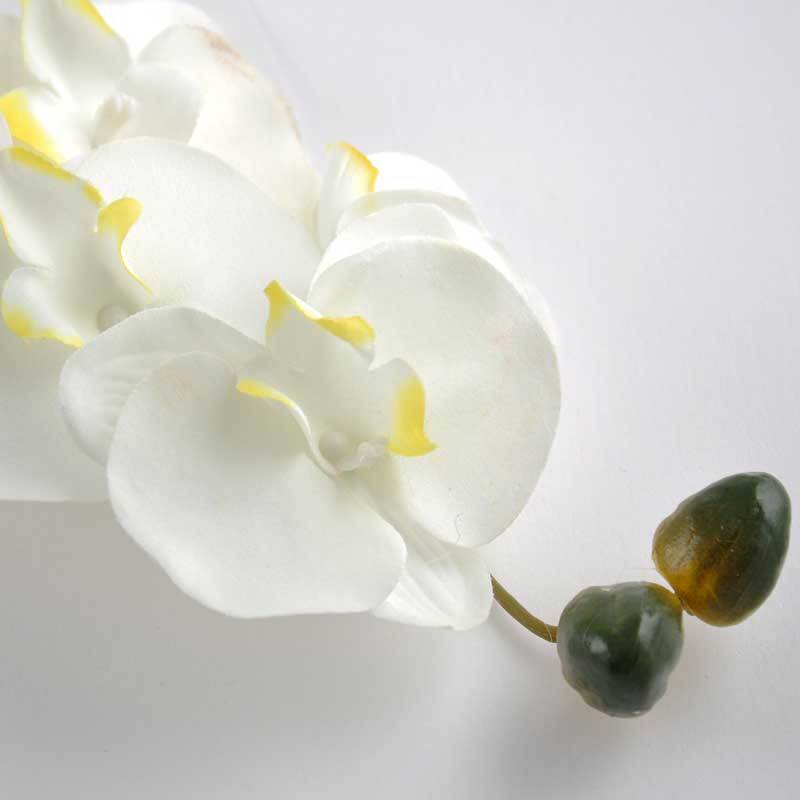 Orchidee Phaleanopsis weiß 75cm