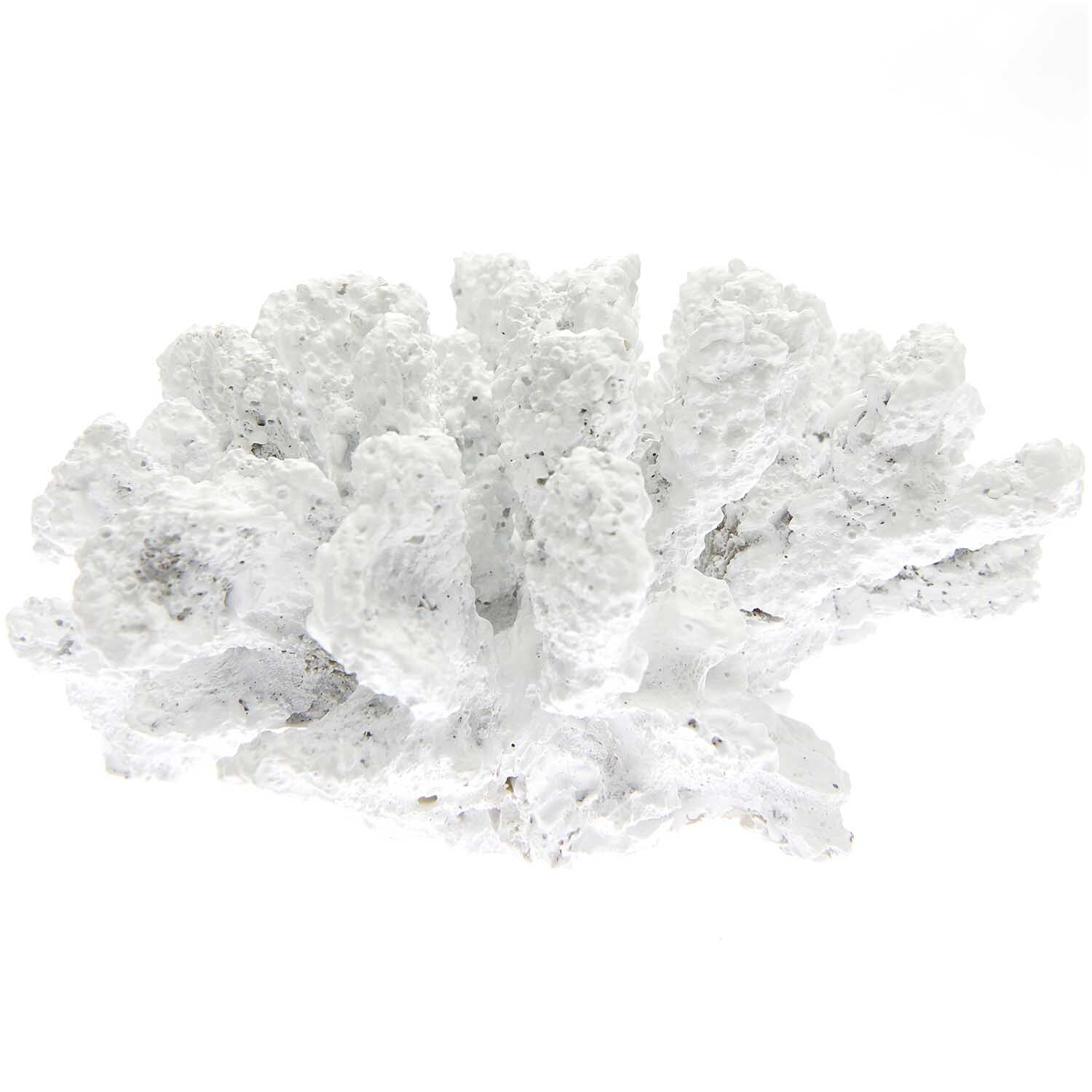 Koralle aus Polyresin weiß 18x17x10cm