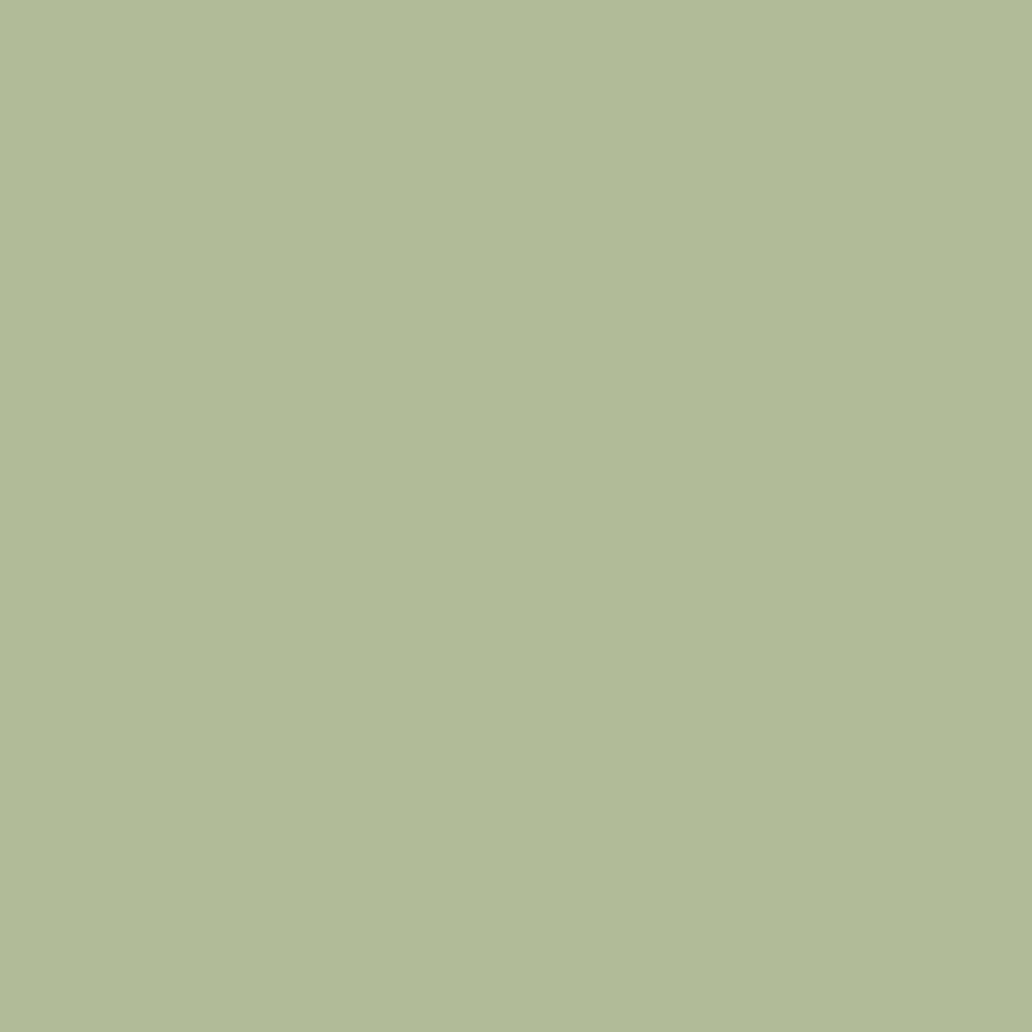 Grayish Olive Green