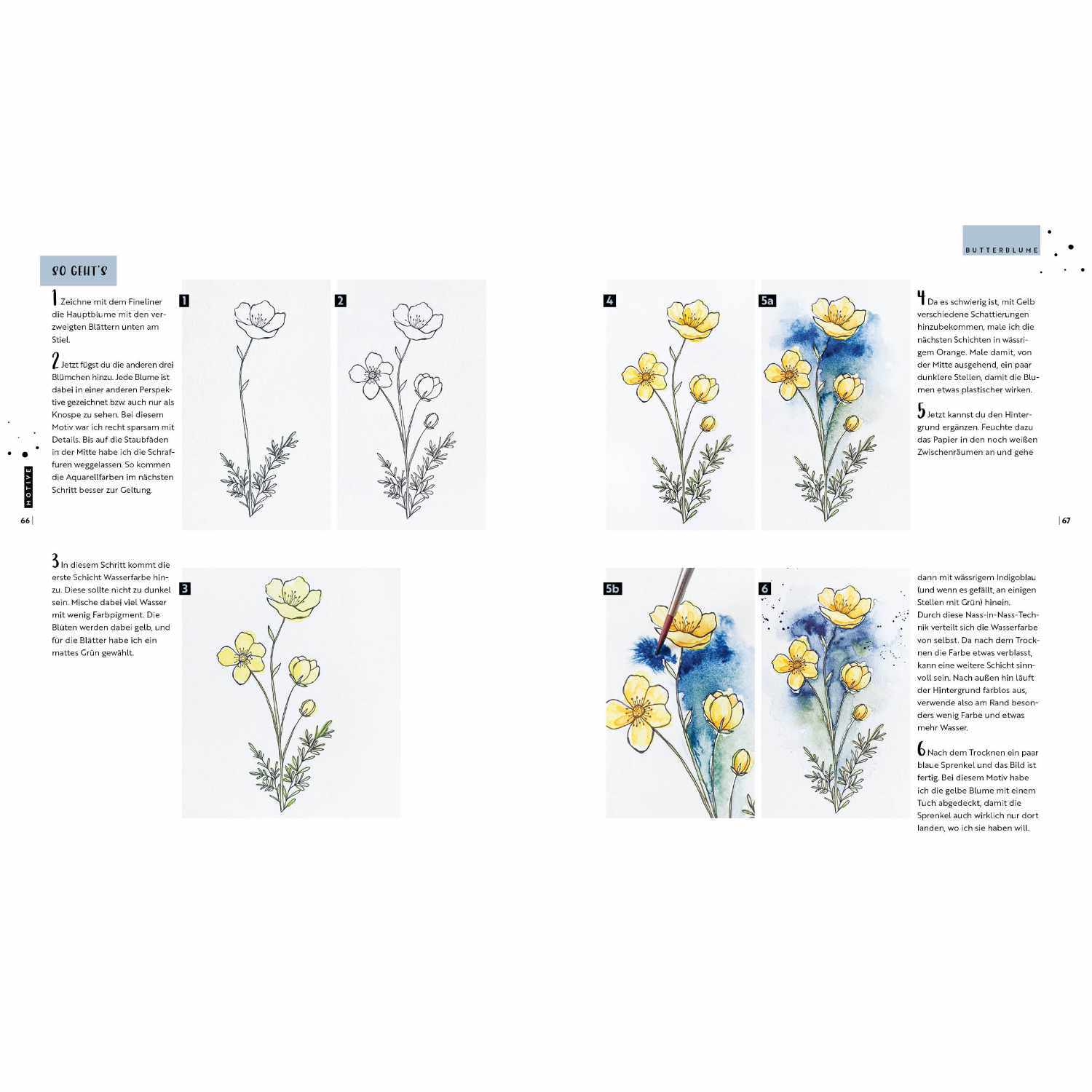 Watercolor - Florale Motive aus Wiese, Wald & Garten