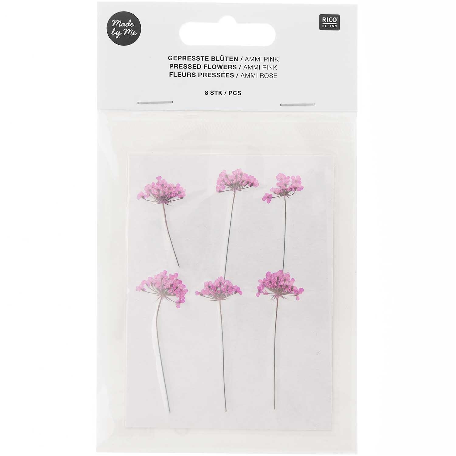 Gepresste Blüten Ammi pink 6 Stück