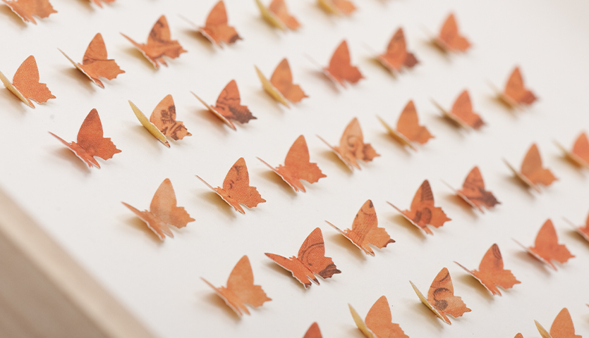 Bastelanleitung 3D-Bilder mit Schmetterlingen