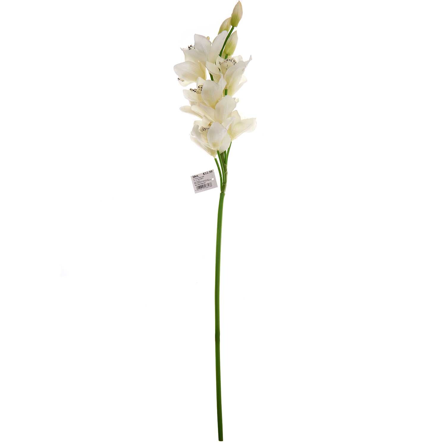 Orchidee weiß 73cm