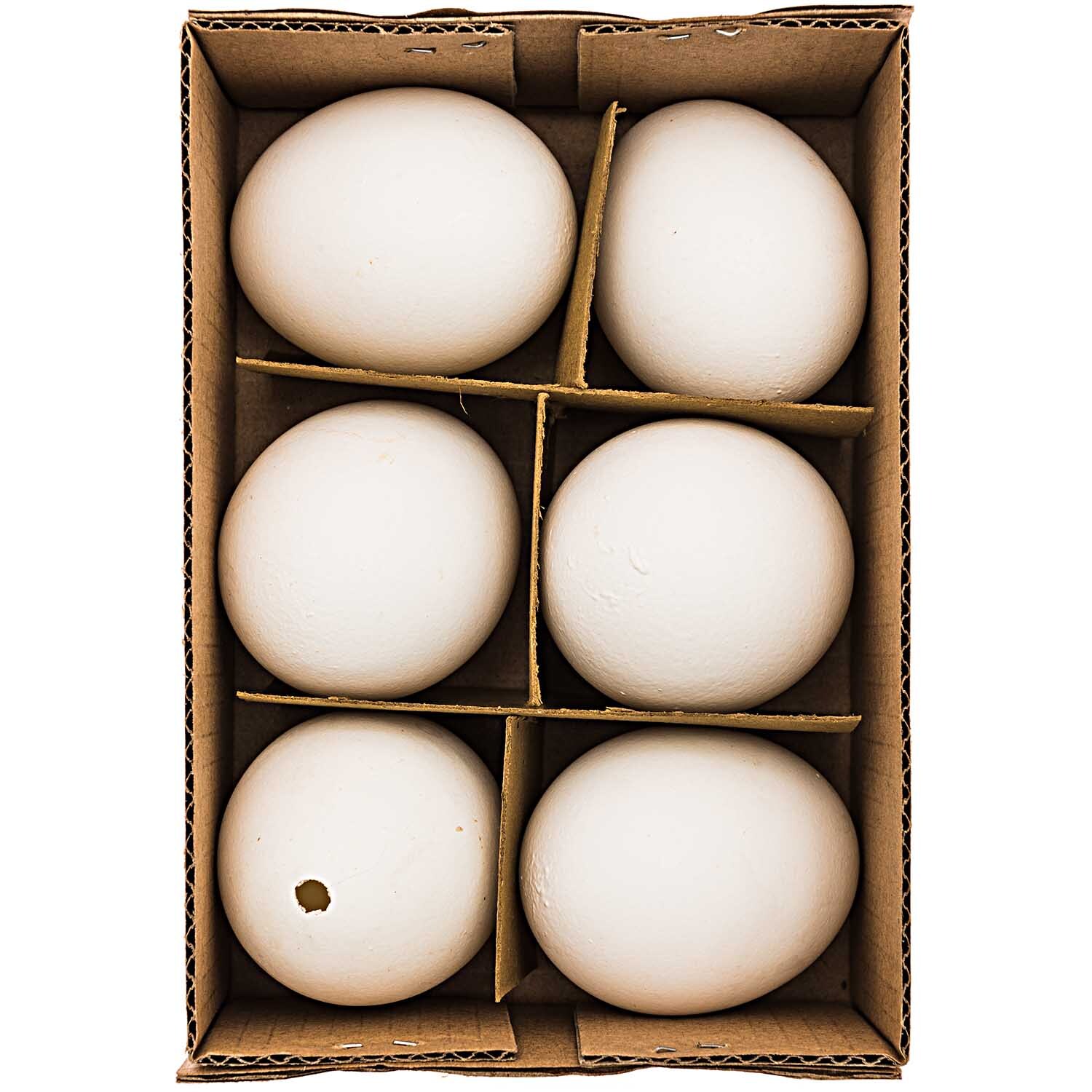 Hühnerei weiß ausgeblasen 5,5cm 6 Stück