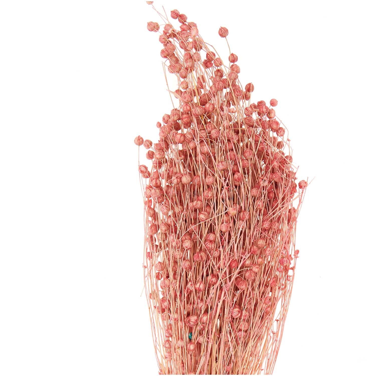Getrockneter Flachs pink 60-75cm 100g