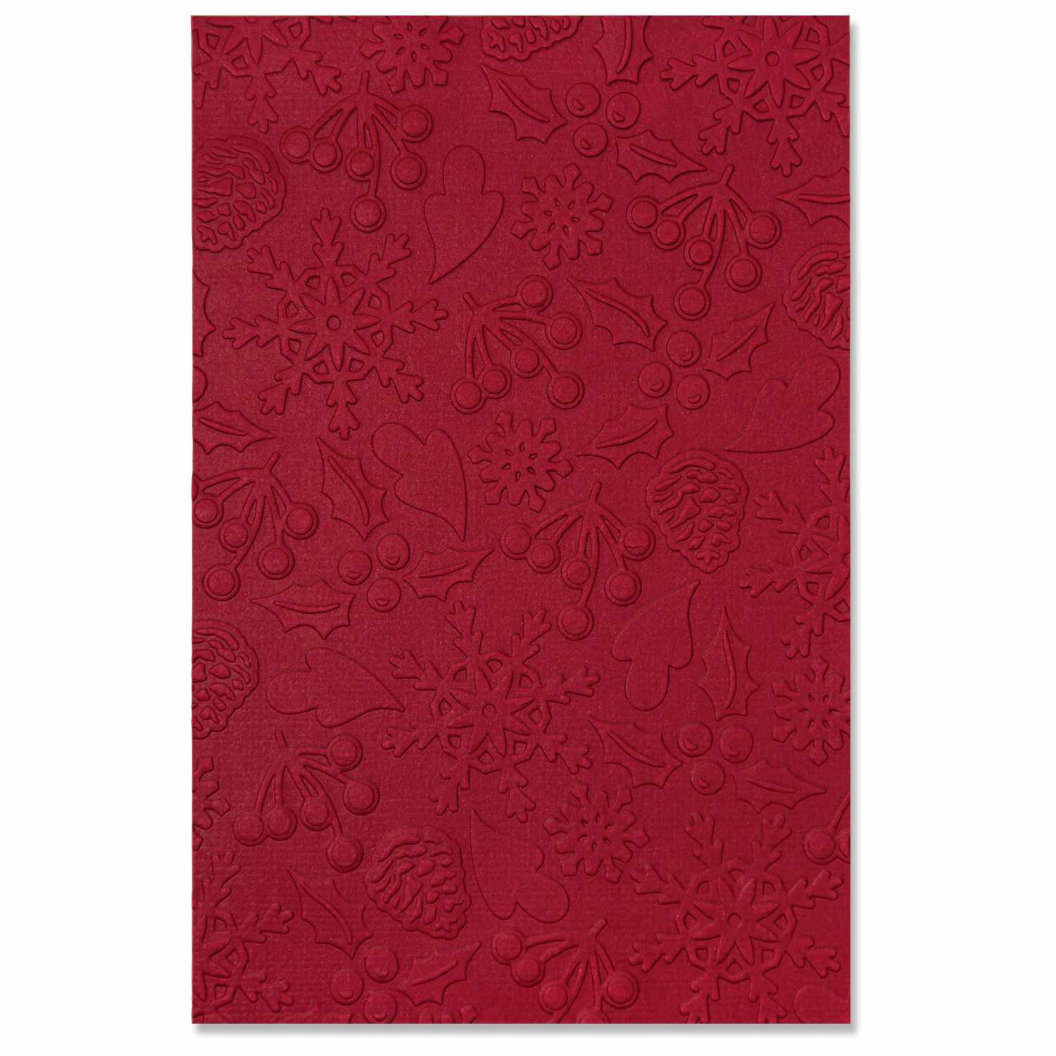 3D Textured Impressions Embossing Folder Winter Pattern by Jennifer Ogborn