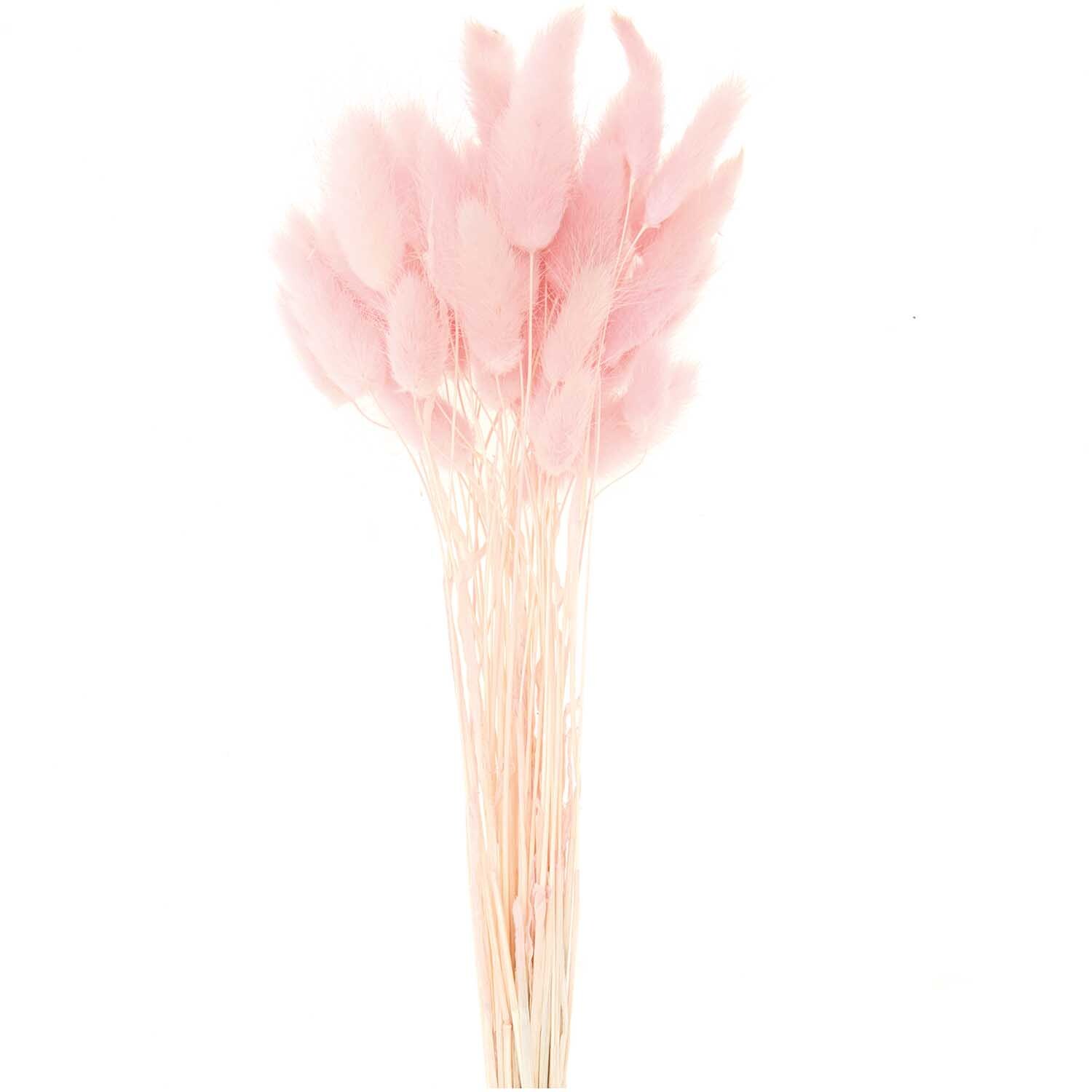 Getrockneter Lagurus pink ca. 40cm 50 Stück