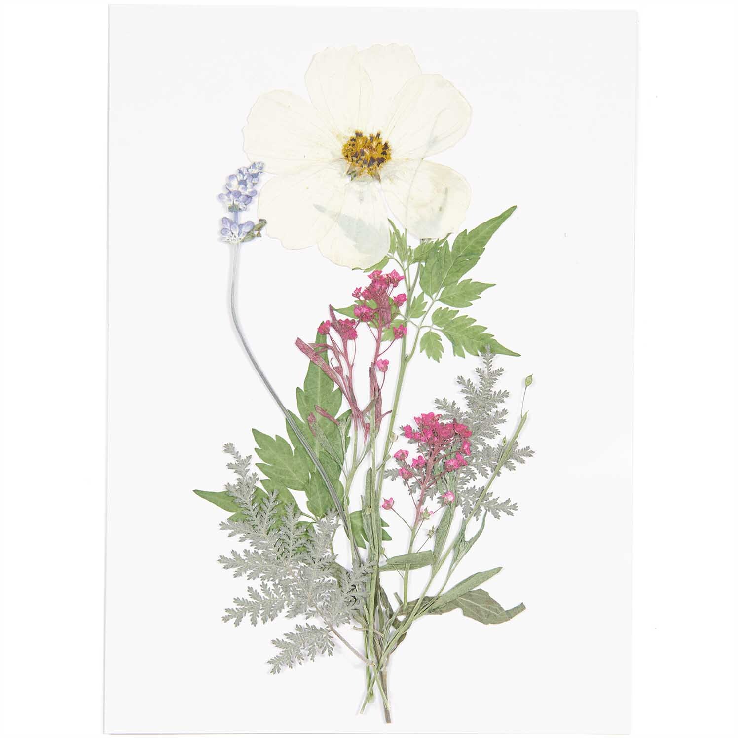 Gepresste Blüten Mix Set weiß-violett 7 Stück