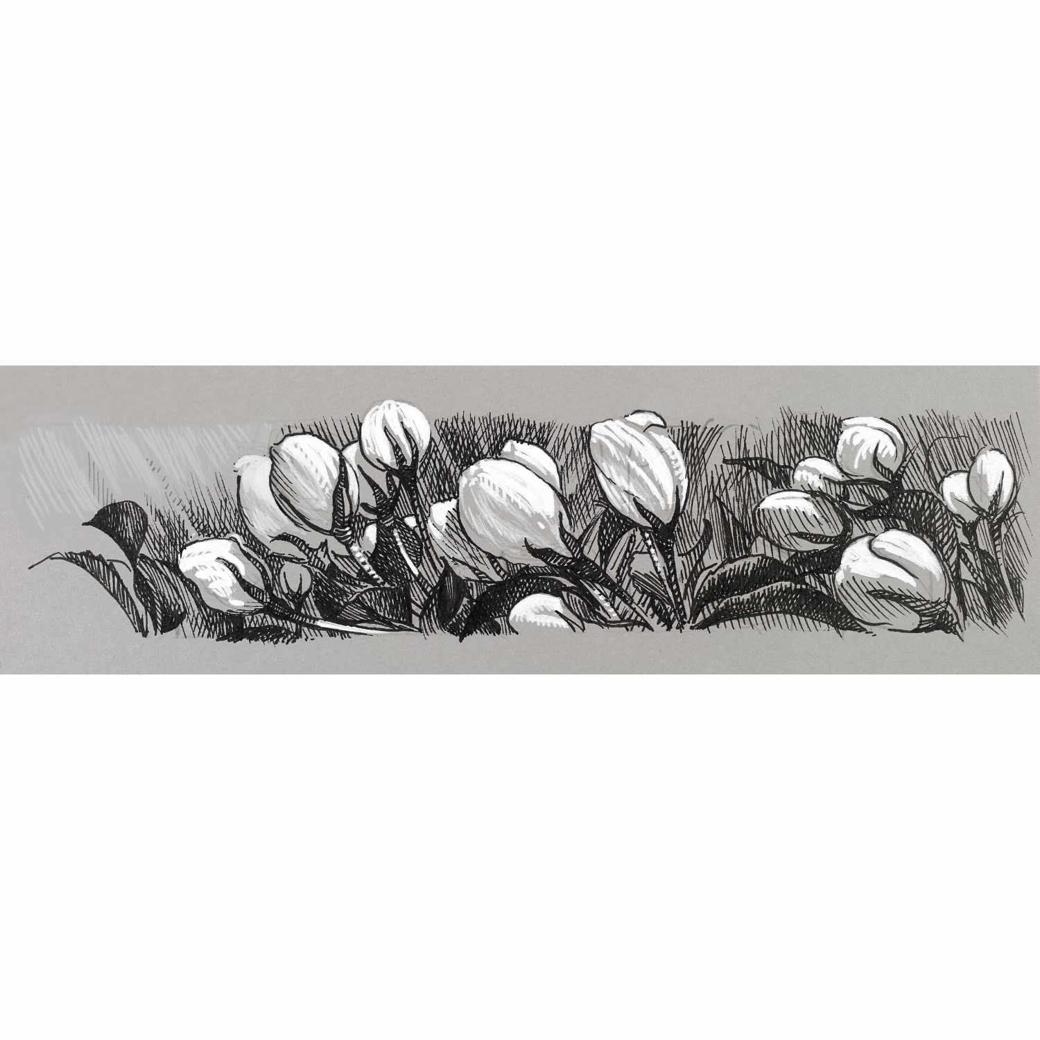 Tuschestift Pitt Artist Pen Black & White 4 Stück