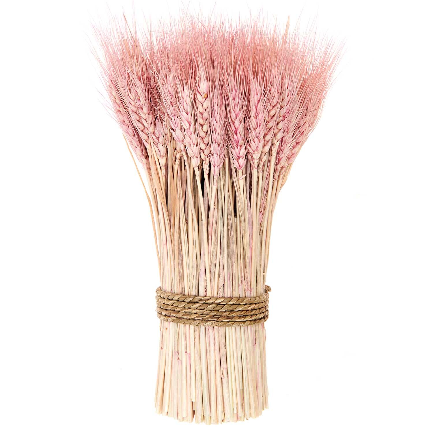 Getrockneter Weizenbund pink 30cm 150g