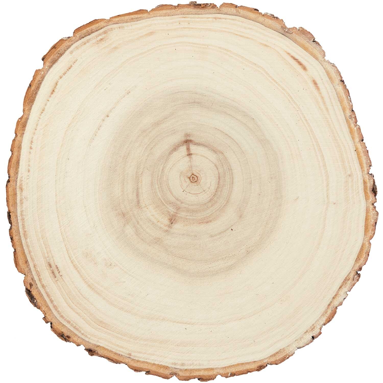 Holzscheibe groß Ø16-19cm 1,5cm dick