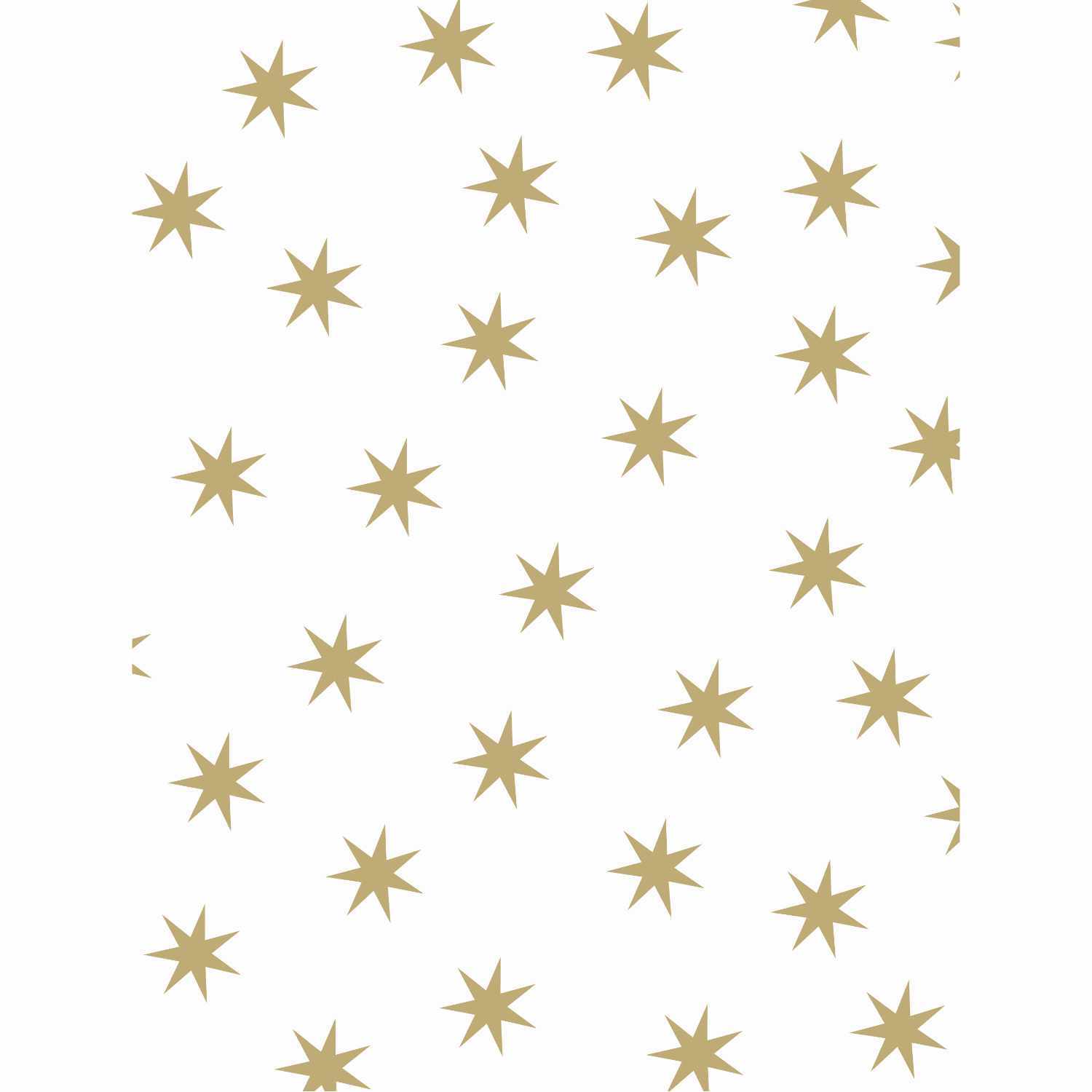 Fotokarton Sterne weiß-gold 50x70cm 300g/m²