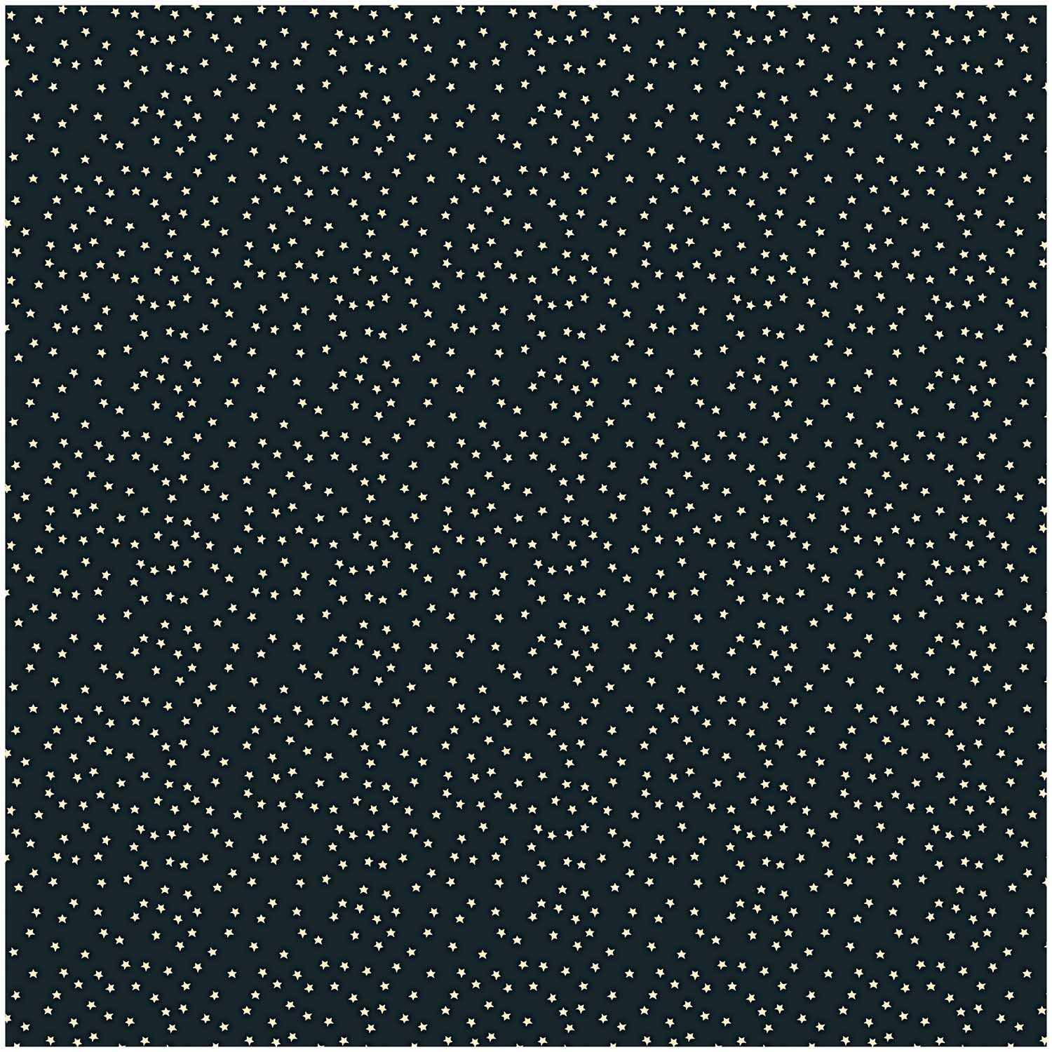 Stoff Sterne schwarz-natur 140cm