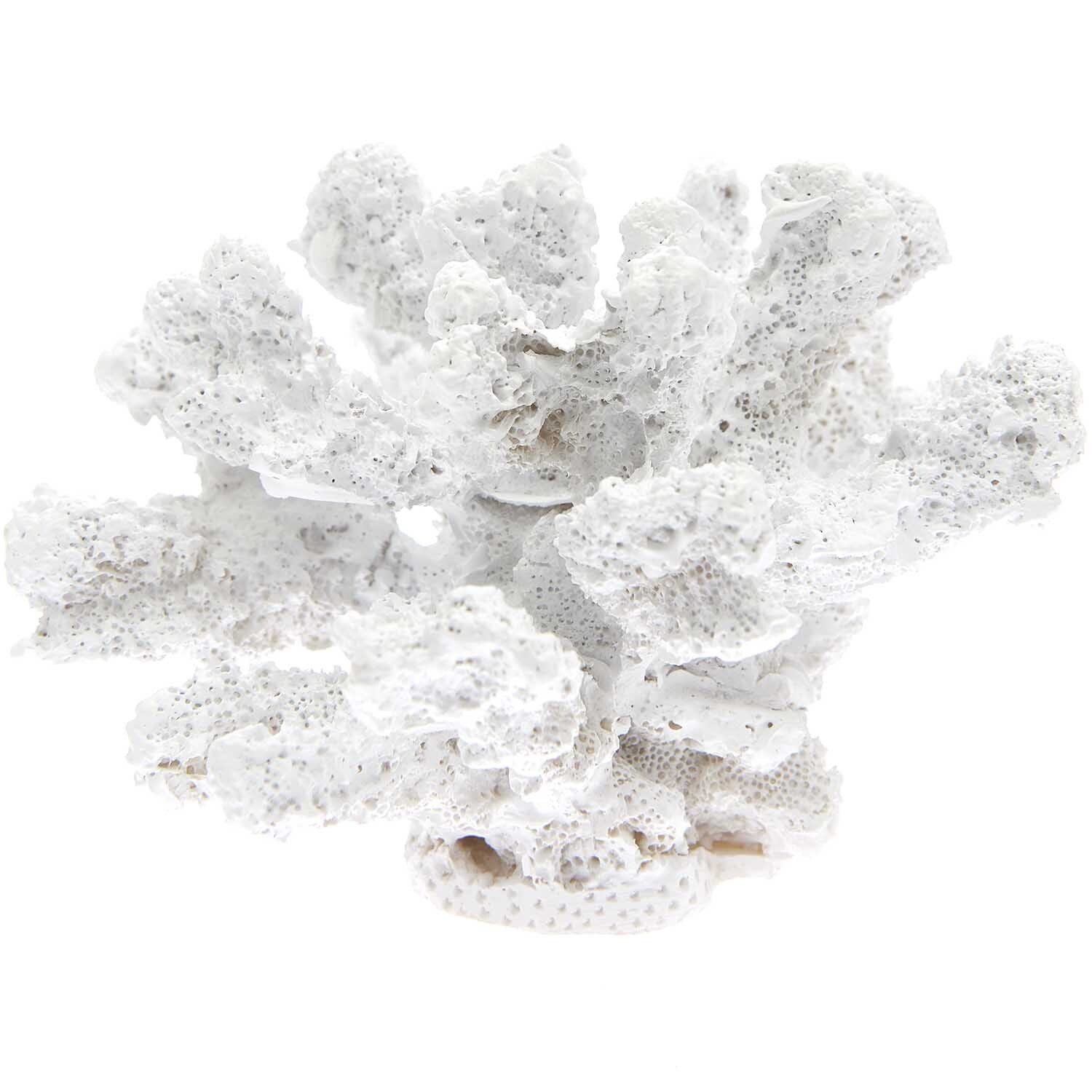 Koralle aus Polyresin weiß 14x11x9cm