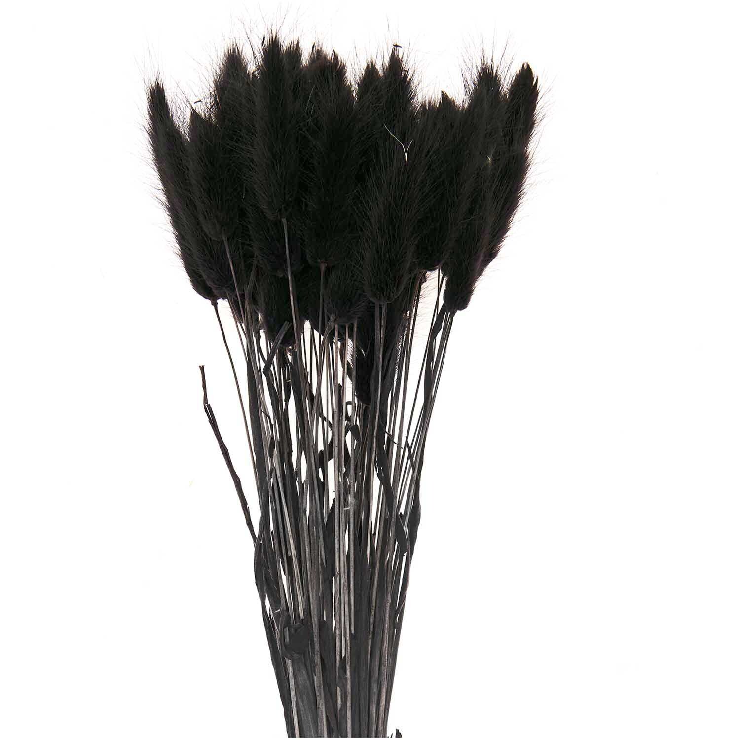 Getrockneter Lagurus schwarz ca. 40cm 50 Stück