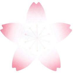 Paper Poetry Haftnotizen Kirschblüte pink-weiß 50 Blatt 80x76mm